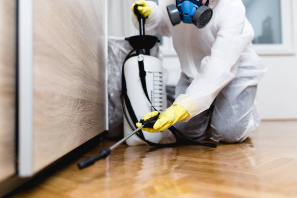 Best Termite Control Services  in Wheatley Heights, NY