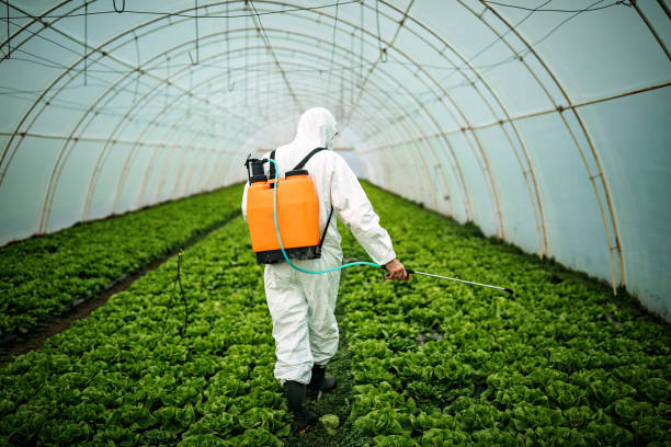 Best Pest Control Near Me in Wheatley Heights, NY