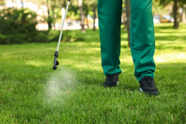 Best Mosquito Control Services  in Wheatley Heights, NY