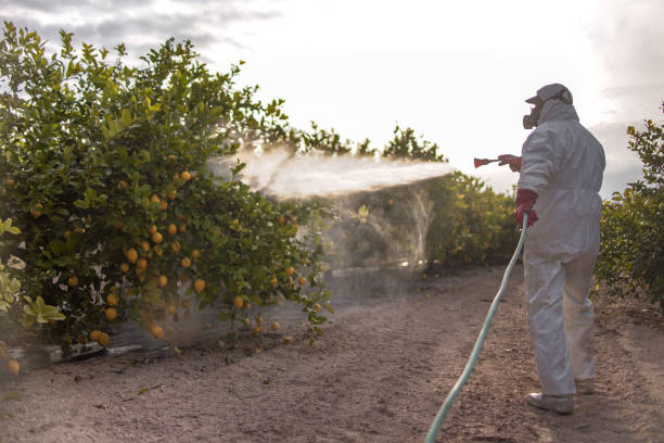 Best Emergency Pest Control  in Wheatley Heights, NY