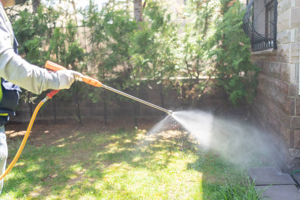 Best Insect Control  in Wheatley Heights, NY