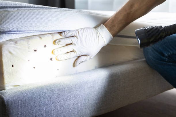 Wheatley Heights, NY Pest Control Company