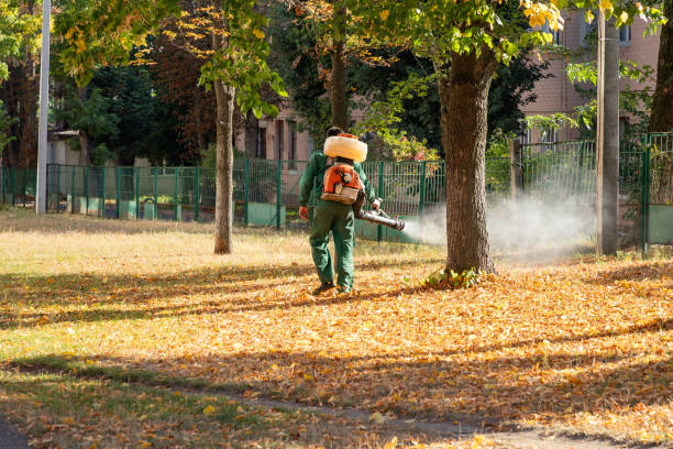 Best Exterminator Services  in Wheatley Heights, NY