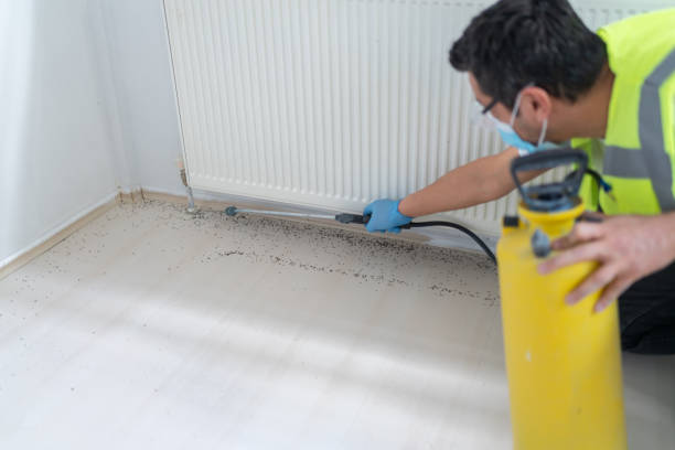 Best Pest Prevention Services  in Wheatley Heights, NY